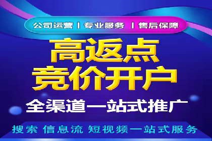 竞价广告端口开户的典型案例剖析