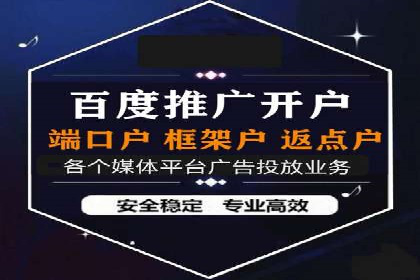 成功运用百度竞价代理，实现品牌快速崛起