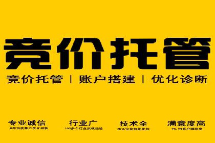 百度搜索推广实战技巧：成功案例背后的优化策略